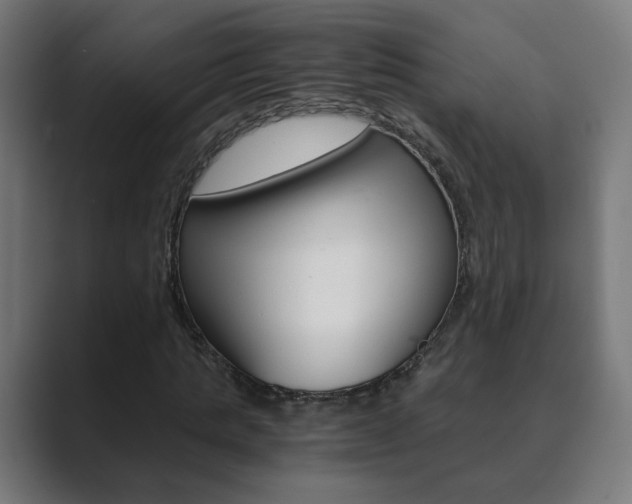 X0000089850821200706281019