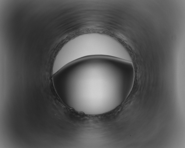 X0000089850822200706281019
