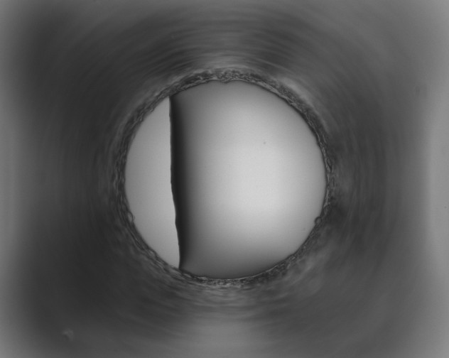 X0000089850823200706281019