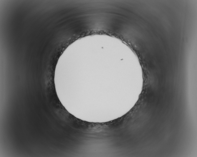 X0000089850824200706281019