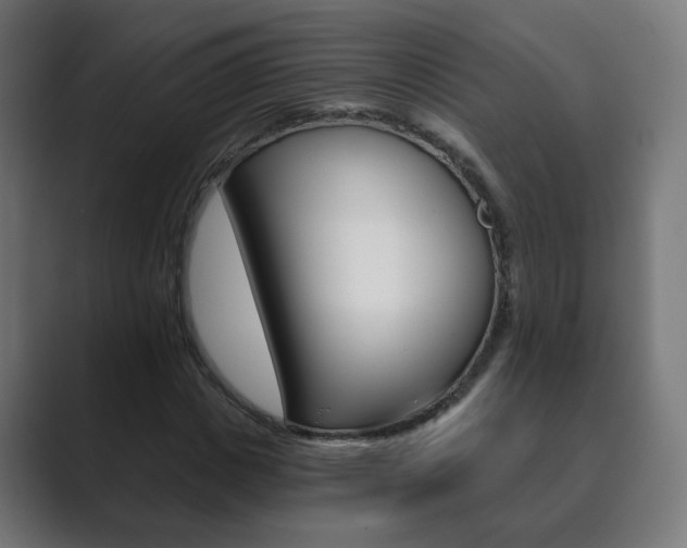 X0000089850825200706281019
