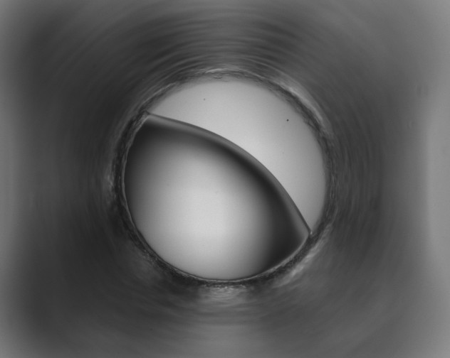 X0000089850826200706281019