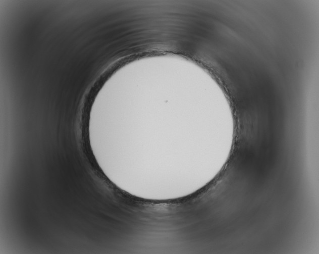 X0000089850828200706281019