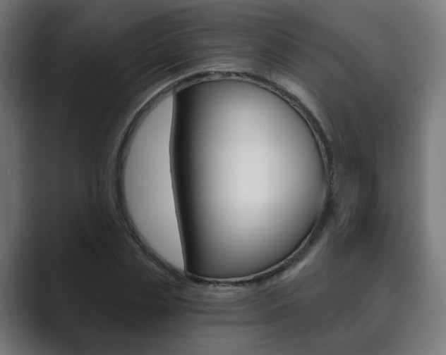 X0000089850829200706281019