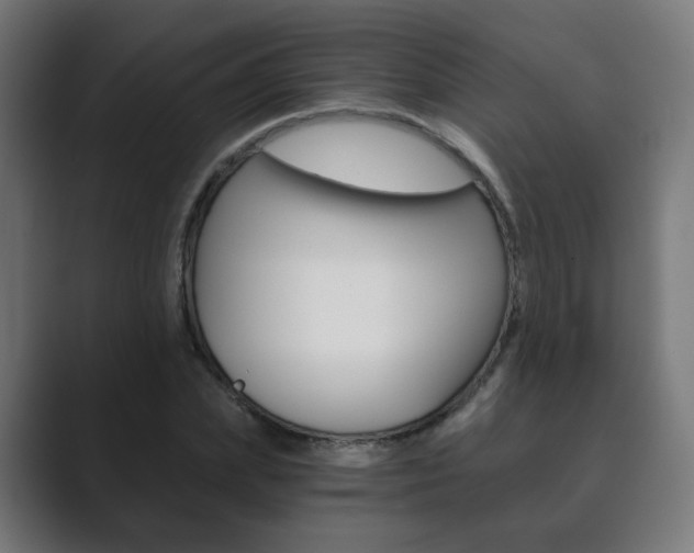 X0000089850831200706281019