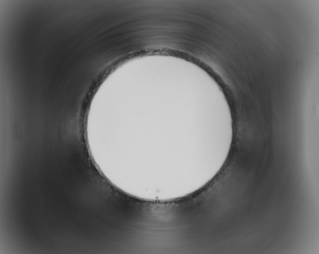 X0000089850832200706281019