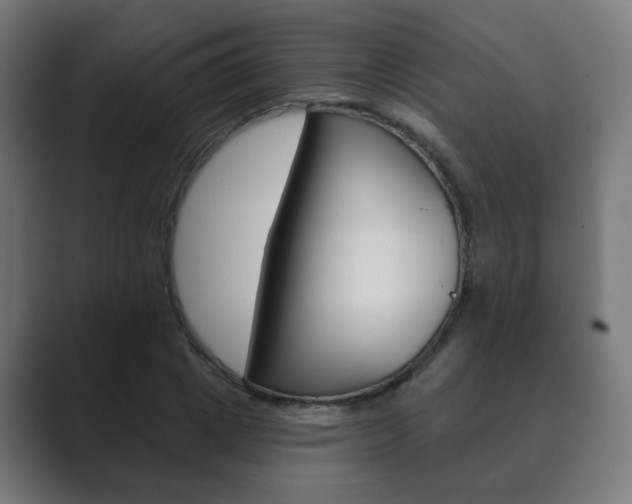 X0000089850833200706281019