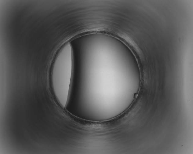 X0000089850834200706281019