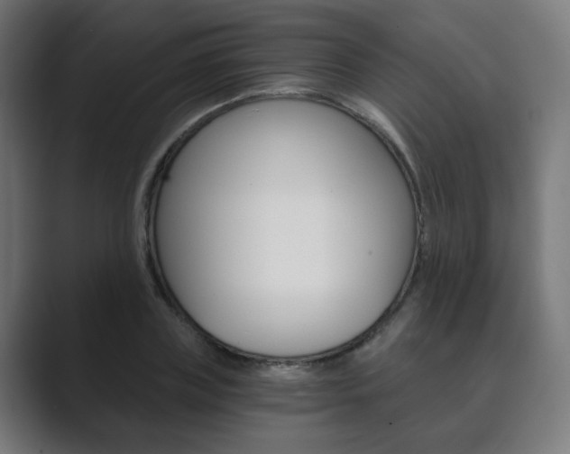 X0000089850835200706281019