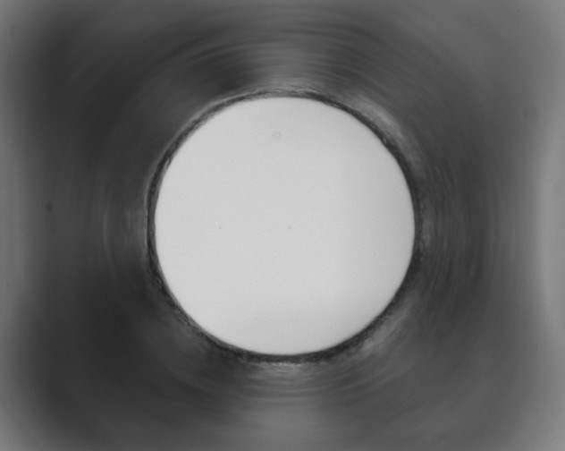 X0000089850836200706281019