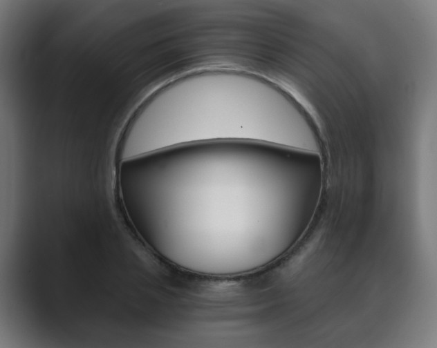 X0000089850837200706281019