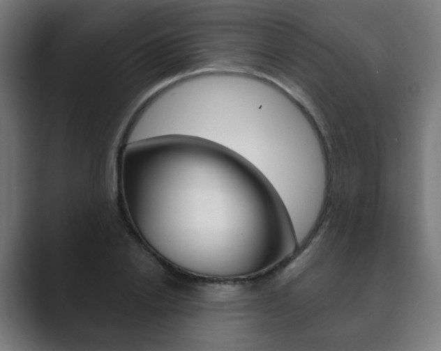 X0000089850838200706281019