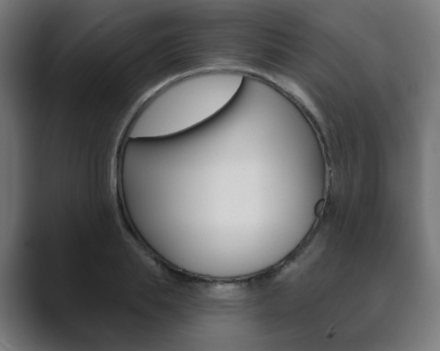 X0000089850839200706281019