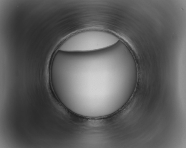 X0000089850840200706281019