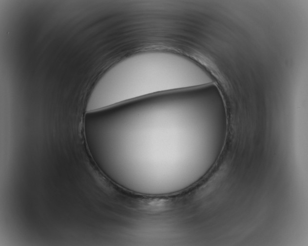 X0000089850841200706281019