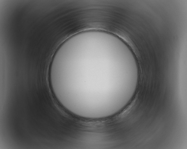 X0000089850842200706281019