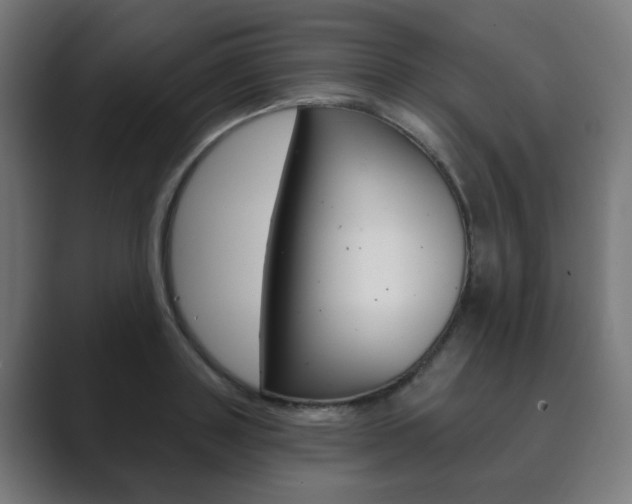 X0000089850843200706281019