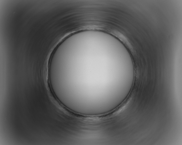 X0000089850844200706281019