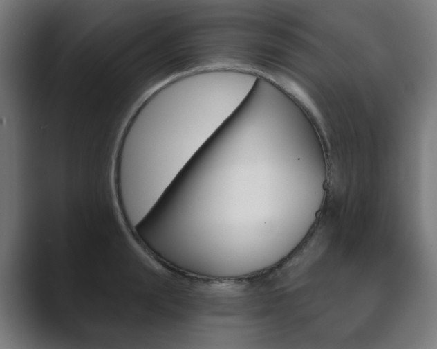 X0000089850847200706281019