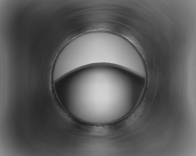 X0000089850850200706281019