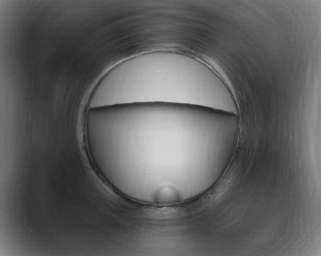 X0000089850851200706281019