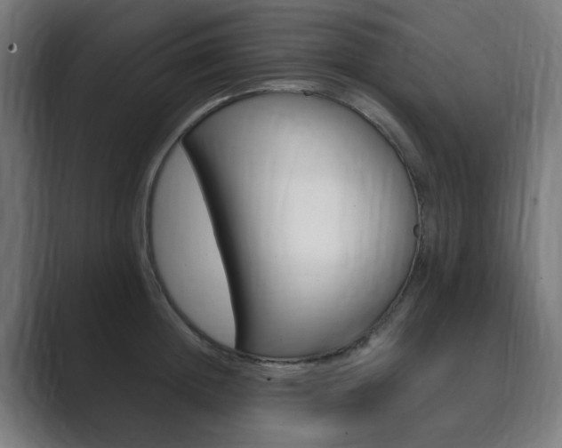 X0000089850852200706281019