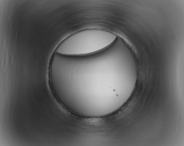 X0000089850853200706281019
