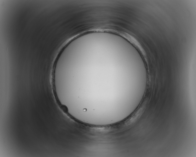 X0000089850855200706281019