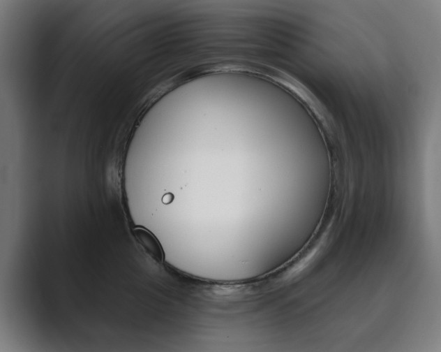 X0000089850857200706281019