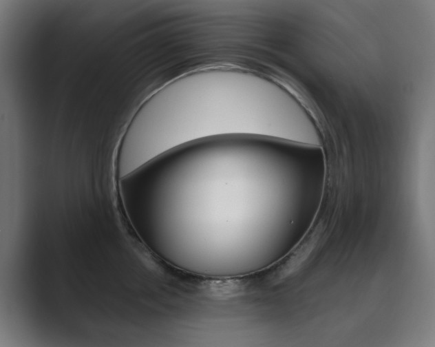 X0000089850858200706281019