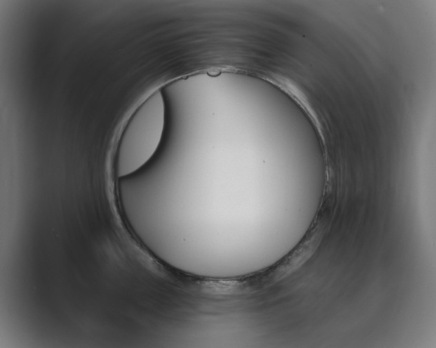 X0000089850859200706281019