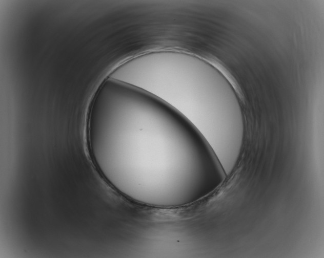 X0000089850861200706281019