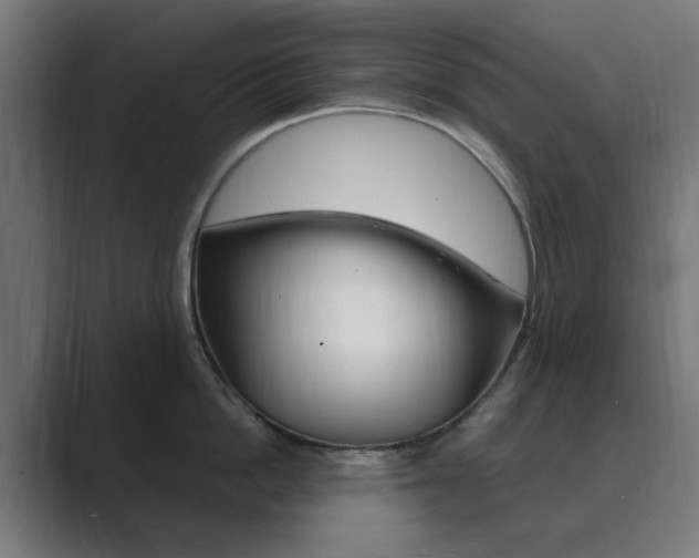X0000089850862200706281019