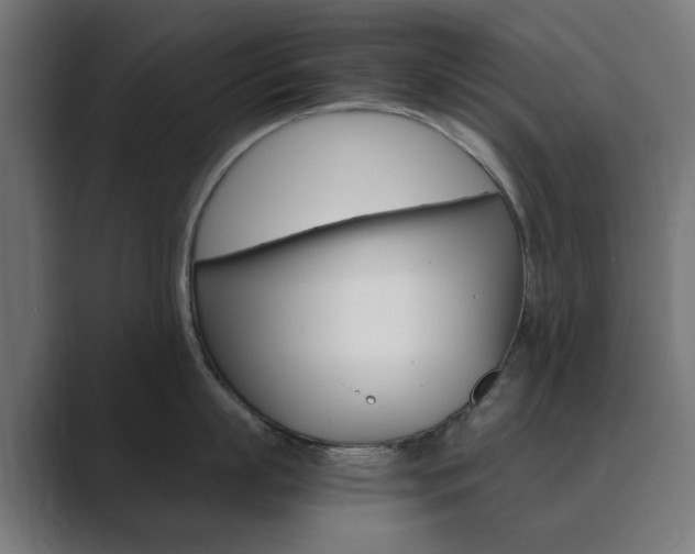 X0000089850863200706281019