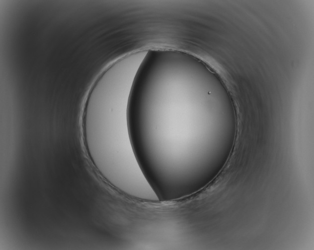 X0000089850864200706281019