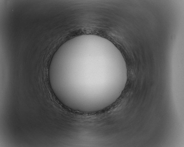 X0000089850865200706281019