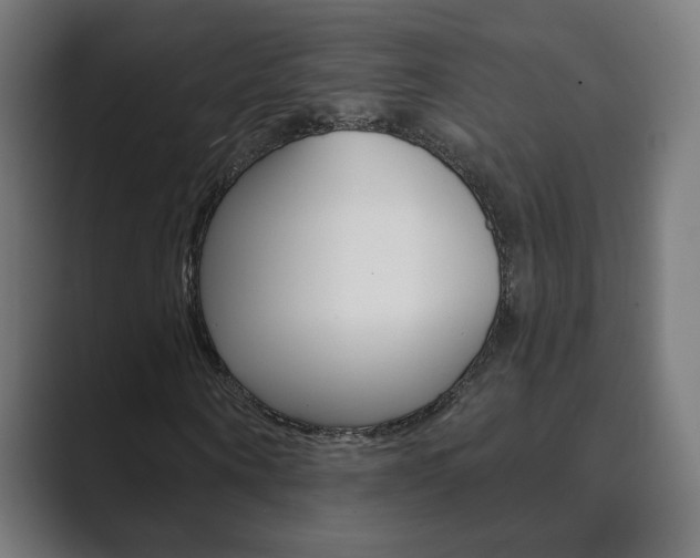 X0000089850866200706281019