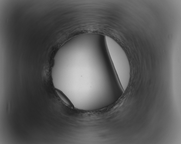 X0000089850867200706281019