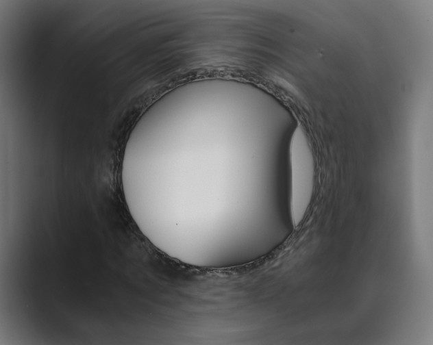 X0000089850869200706281019