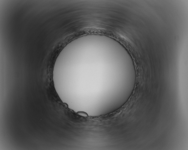 X0000089850870200706281019