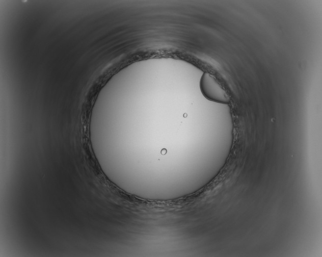 X0000089850871200706281019