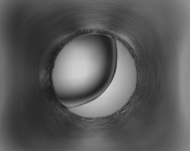 X0000089850872200706281018