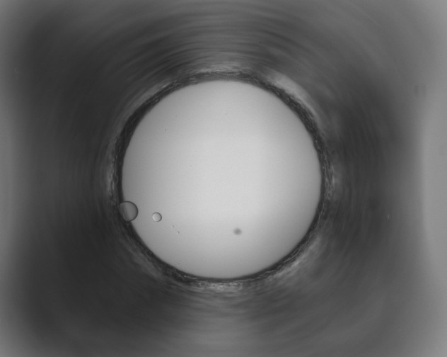 X0000089850874200706281018
