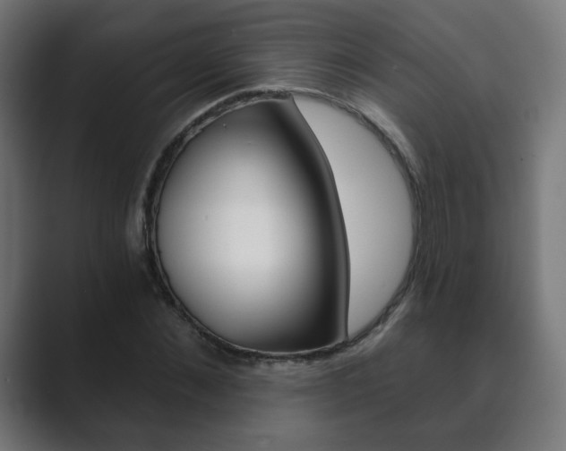 X0000089850876200706281018
