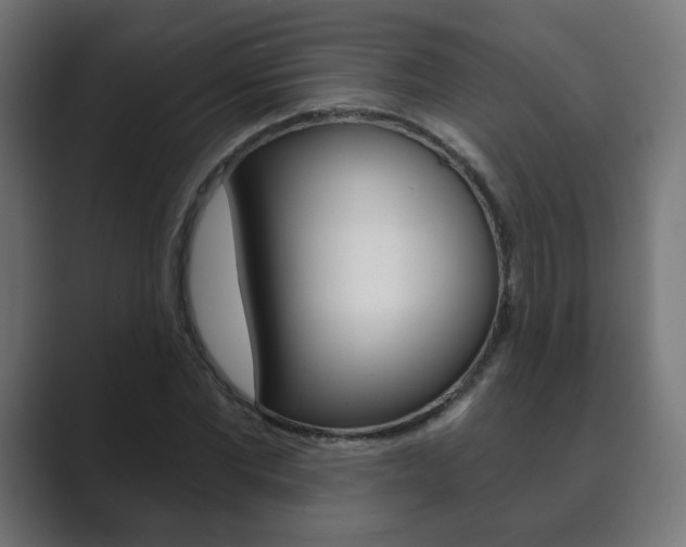 X0000089850877200706281018