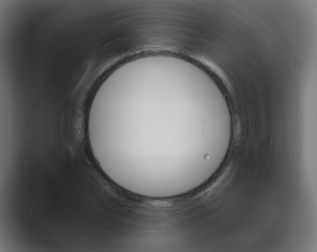 X0000089850878200706281018