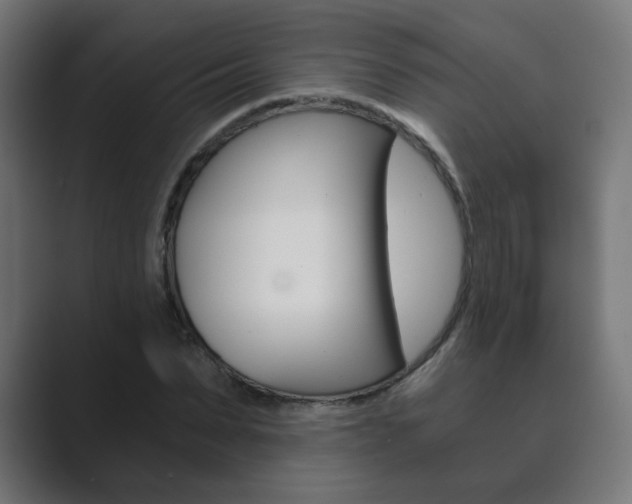 X0000089850879200706281018
