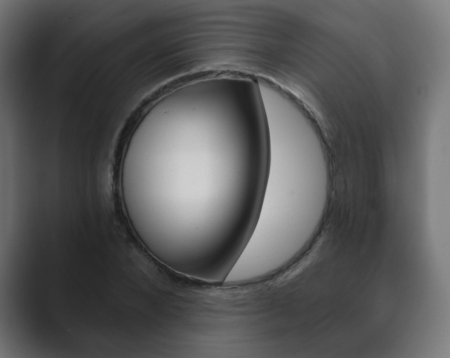 X0000089850880200706281018