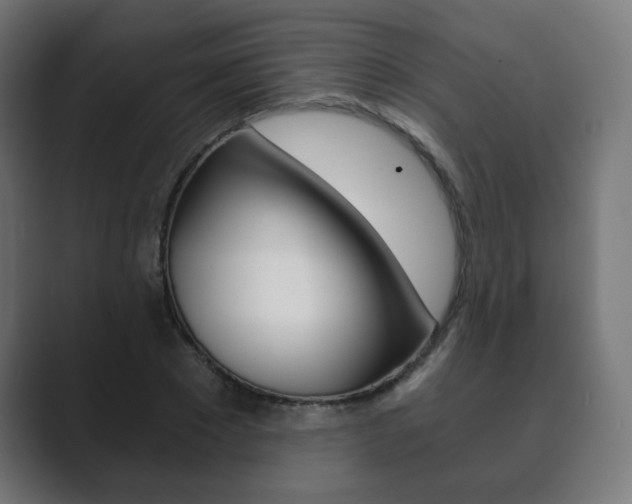 X0000089850881200706281018
