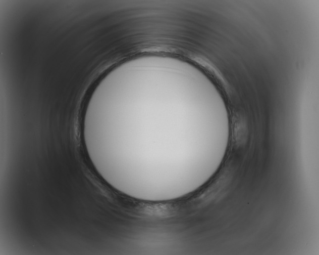 X0000089850882200706281018